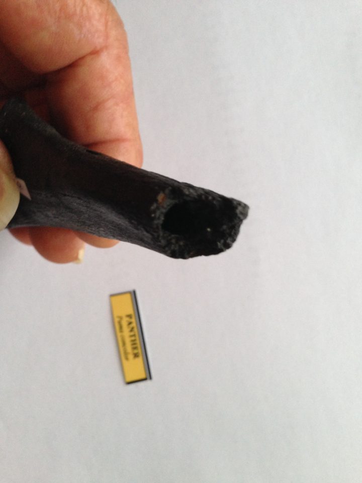 Panther Ulna Partial | Fossils & Artifacts for Sale | Paleo Enterprises | Fossils & Artifacts for Sale
