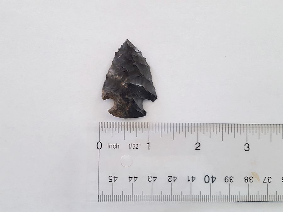 Fl. Bolen type Arrowhead | Fossils & Artifacts for Sale | Paleo Enterprises | Fossils & Artifacts for Sale