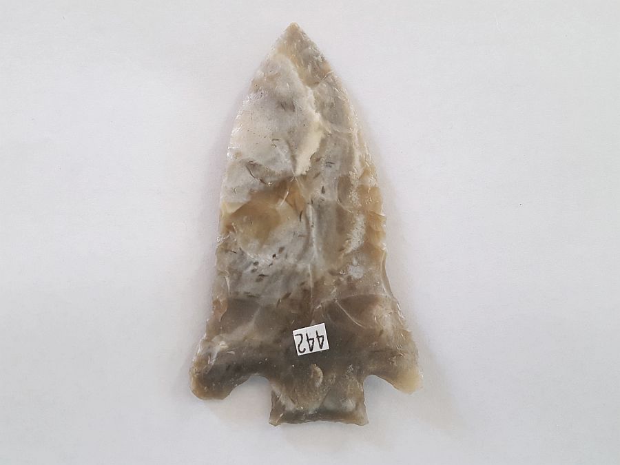 Fl. Clay type Arrowhead, LARGE and translucent! | Fossils & Artifacts for Sale | Paleo Enterprises | Fossils & Artifacts for Sale