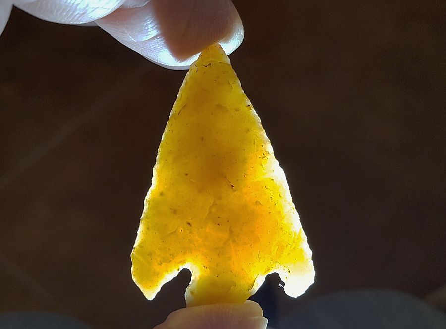 Fl. Clay type Arrowhead, translucent coral! | Fossils & Artifacts for Sale | Paleo Enterprises | Fossils & Artifacts for Sale