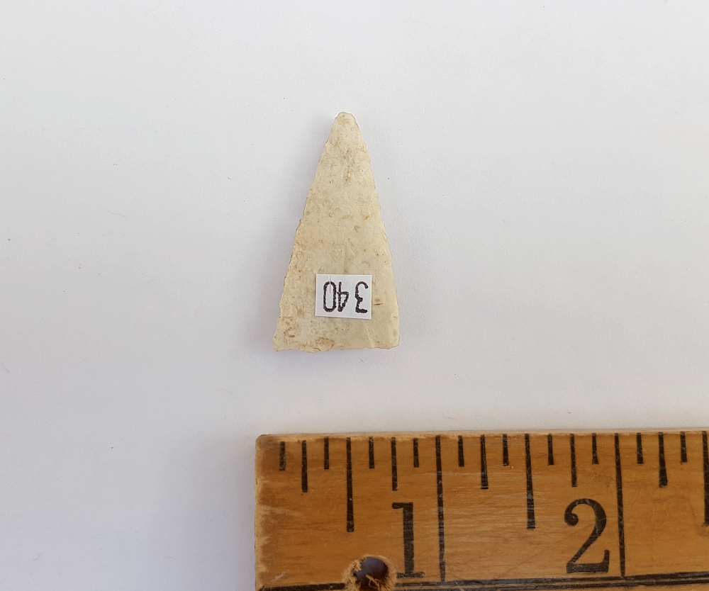 Fl. Pinellas type arrowhead w/COA! | Fossils & Artifacts for Sale | Paleo Enterprises | Fossils & Artifacts for Sale