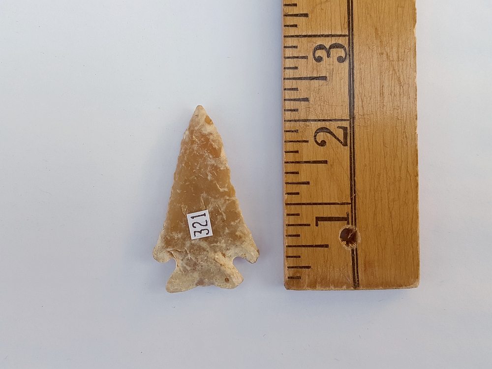 Fl. Bolen Bevel type arrowhead, TRANSLUCENT CHERT! | Fossils & Artifacts for Sale | Paleo Enterprises | Fossils & Artifacts for Sale