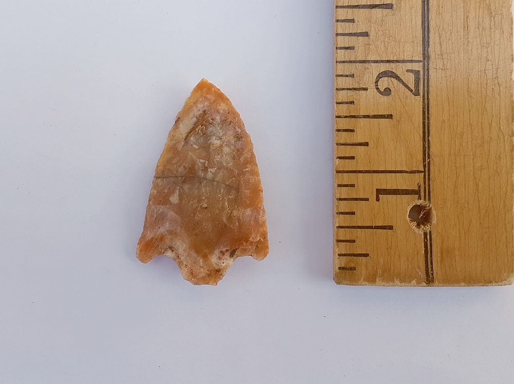 Fl. Cypress Creek type arrowhead, TRANSLUCENT CORAL! | Fossils & Artifacts for Sale | Paleo Enterprises | Fossils & Artifacts for Sale