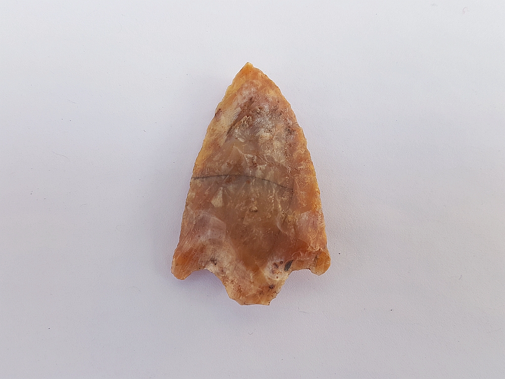Fl. Cypress Creek type arrowhead, TRANSLUCENT CORAL! | Fossils & Artifacts for Sale | Paleo Enterprises | Fossils & Artifacts for Sale