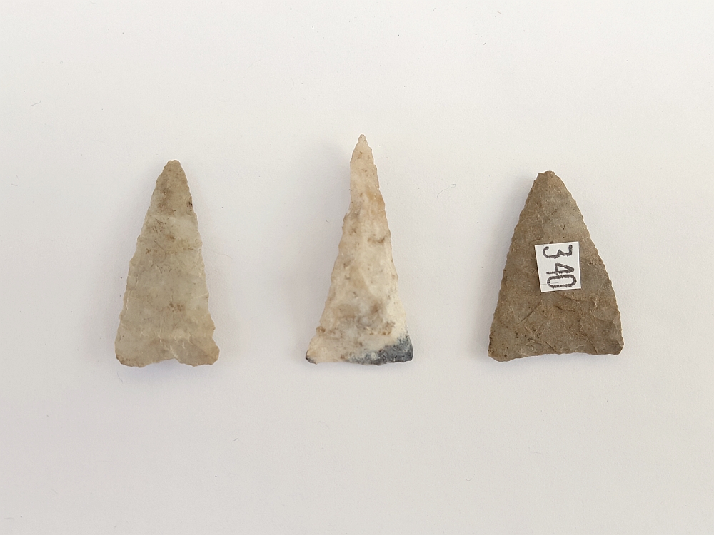 Fl. Pinellas type arrowheads, GROUP OF THREE w/COA! | Fossils & Artifacts for Sale | Paleo Enterprises | Fossils & Artifacts for Sale