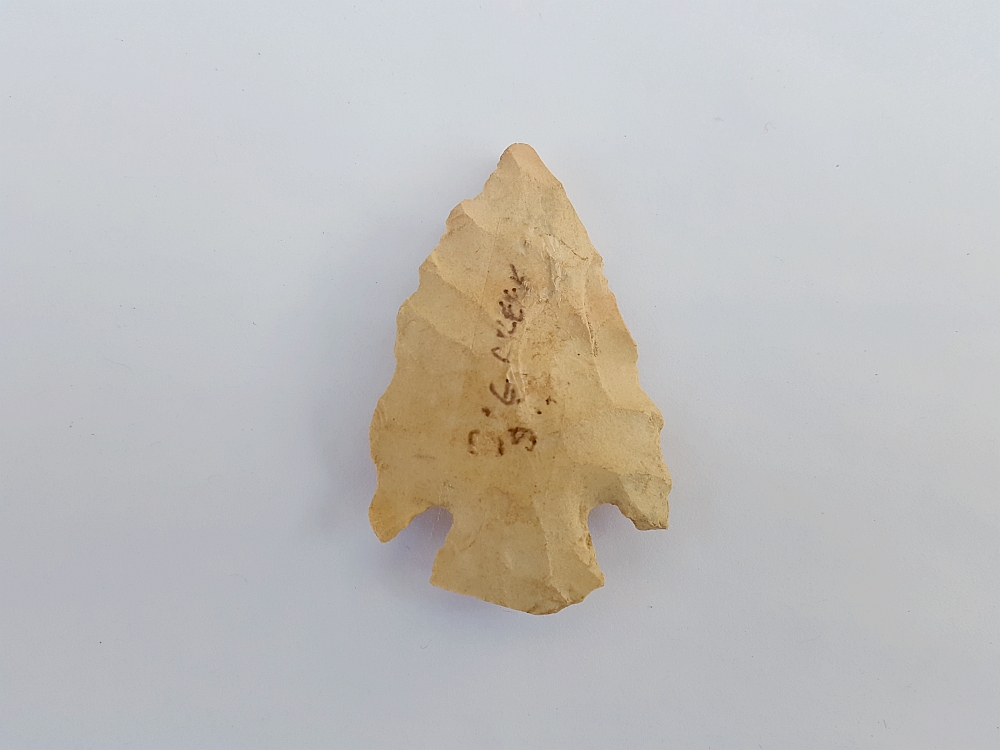Fl. Lafayette type arrowhead with COA | Fossils & Artifacts for Sale | Paleo Enterprises | Fossils & Artifacts for Sale