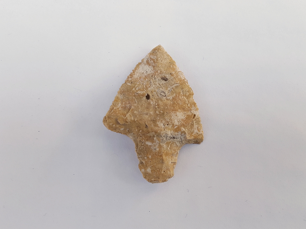 Fl. Newnan type arrowhead, fossiliferous Fl. chert. | Fossils & Artifacts for Sale | Paleo Enterprises | Fossils & Artifacts for Sale