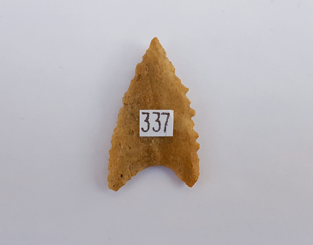 Fl. Tallahassee-Dalton type arrowhead with COA! | Fossils & Artifacts for Sale | Paleo Enterprises | Fossils & Artifacts for Sale