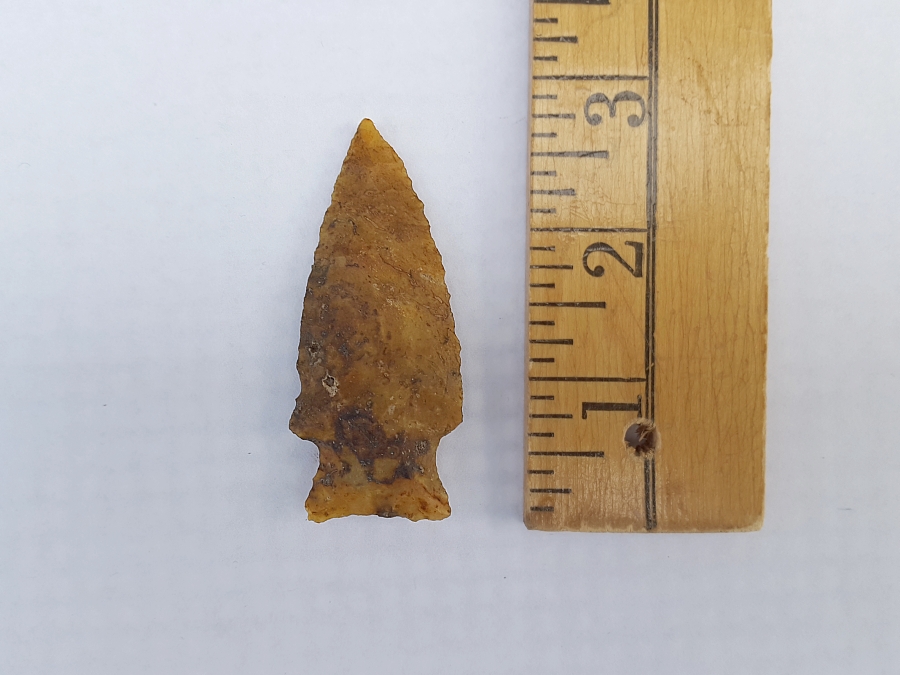 Fl. Gilchrist type arrowhead, TRANSLUCENT CORAL! | Fossils & Artifacts for Sale | Paleo Enterprises | Fossils & Artifacts for Sale