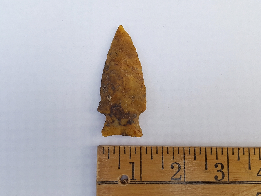 Fl. Gilchrist type arrowhead, TRANSLUCENT CORAL! | Fossils & Artifacts for Sale | Paleo Enterprises | Fossils & Artifacts for Sale