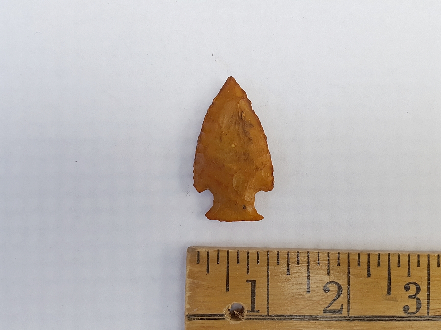 Fl. Hardin type arrowhead, TRANSLUCENT CORAL! | Fossils & Artifacts for Sale | Paleo Enterprises | Fossils & Artifacts for Sale