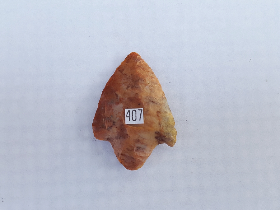 Fl. Marion type arrowhead, COLORFUL CORAL! | Fossils & Artifacts for Sale | Paleo Enterprises | Fossils & Artifacts for Sale