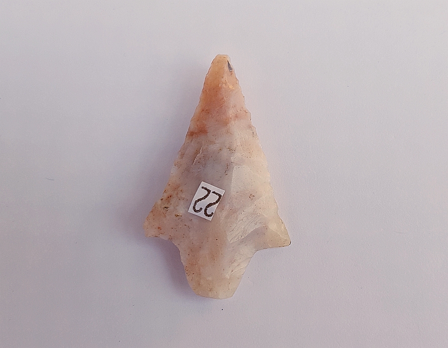 Fl. Hardee Beveled type arrowhead, CORAL WITH COA! | Fossils & Artifacts for Sale | Paleo Enterprises | Fossils & Artifacts for Sale