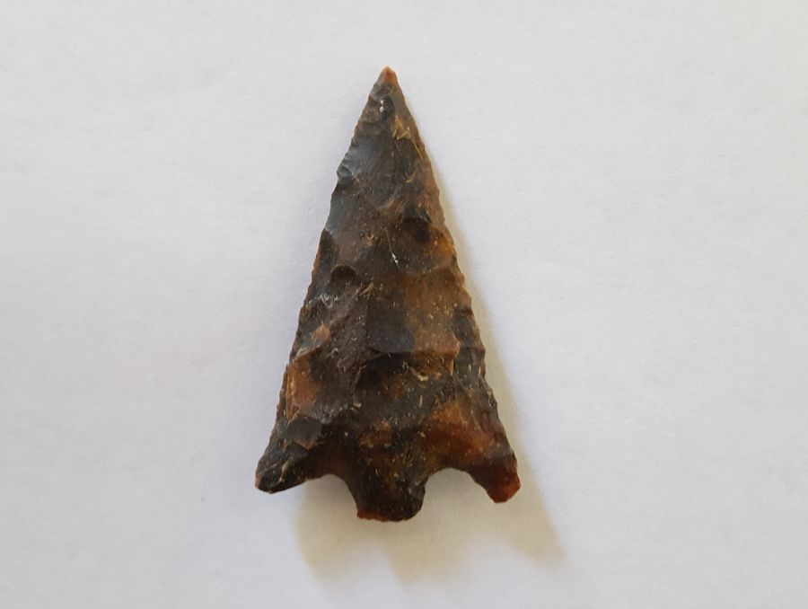 Fl. Hernando type Arrowhead | Fossils & Artifacts for Sale | Paleo Enterprises | Fossils & Artifacts for Sale
