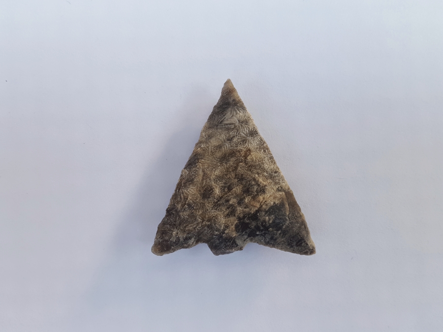 Fl. Hillsborough type arrowhead, G9 with COA! | Fossils & Artifacts for Sale | Paleo Enterprises | Fossils & Artifacts for Sale