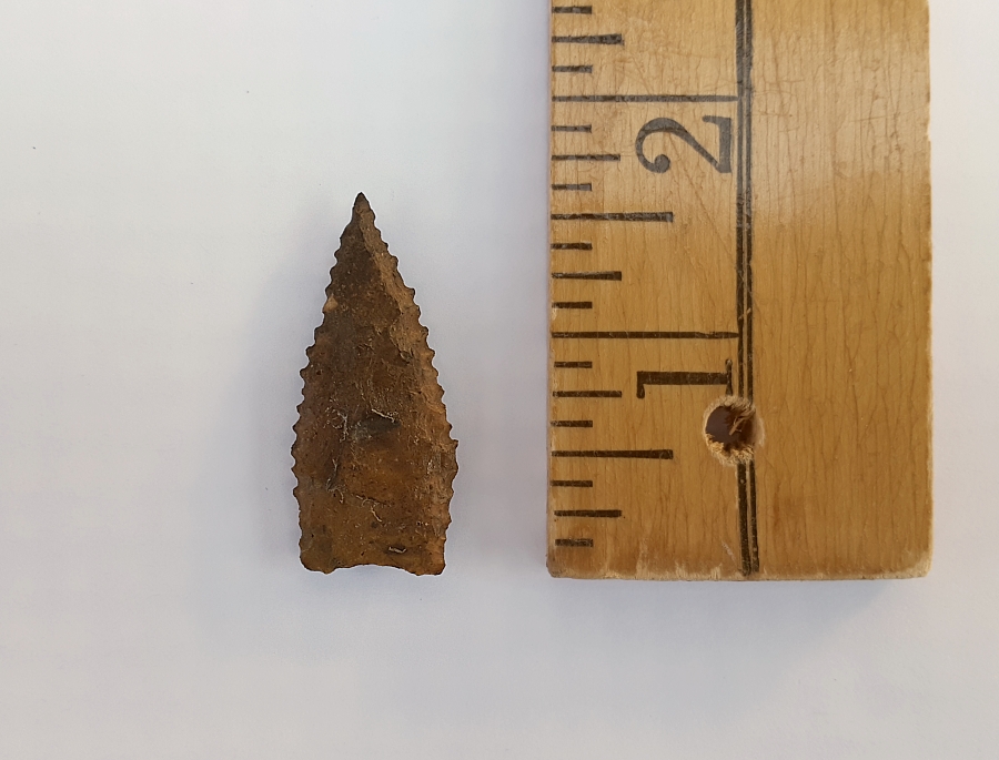 Fl. Tallahassee-Dalton type arrowhead | Fossils & Artifacts for Sale | Paleo Enterprises | Fossils & Artifacts for Sale