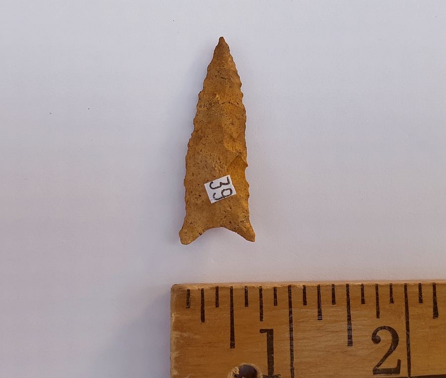 Fl Tallahassee-Dalton type arrowhead, YELLOW CORAL! | Fossils & Artifacts for Sale | Paleo Enterprises | Fossils & Artifacts for Sale