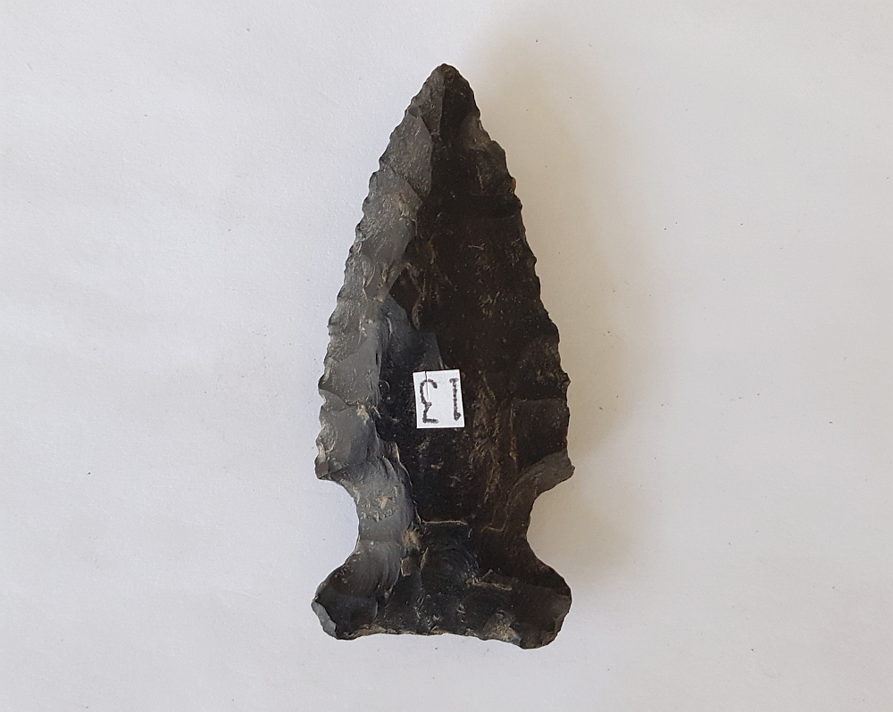 Fl. Bolen Bevel type arrowhead | Fossils & Artifacts for Sale | Paleo Enterprises | Fossils & Artifacts for Sale