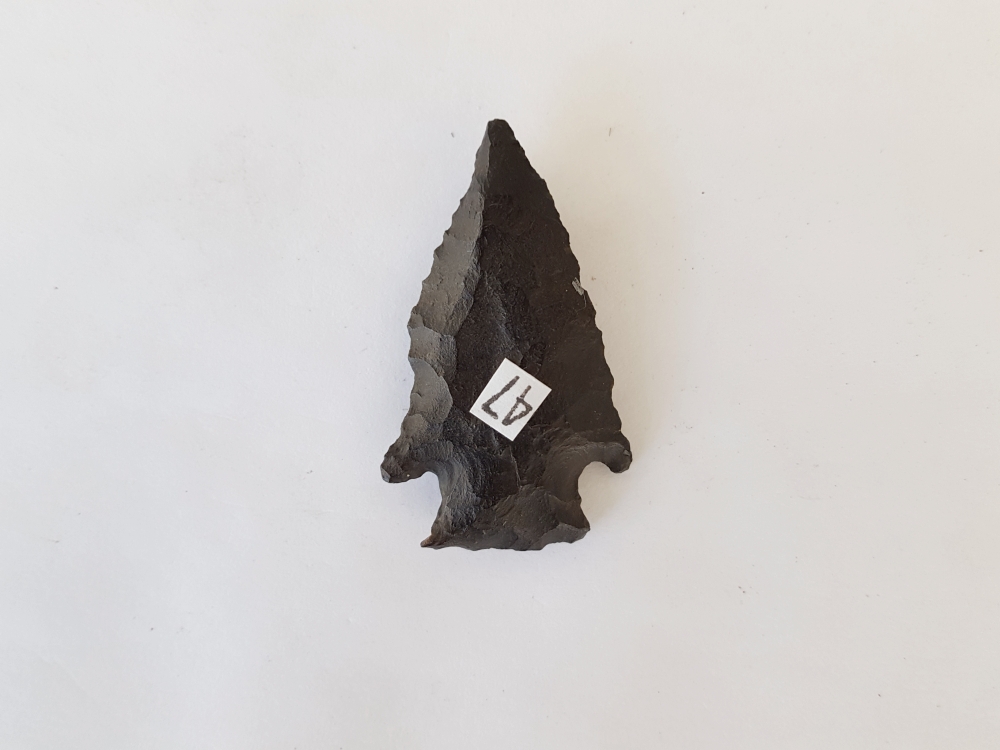 Fl. Bolen Plain type arrowhead, AGATIZED CORAL! | Fossils & Artifacts for Sale | Paleo Enterprises | Fossils & Artifacts for Sale