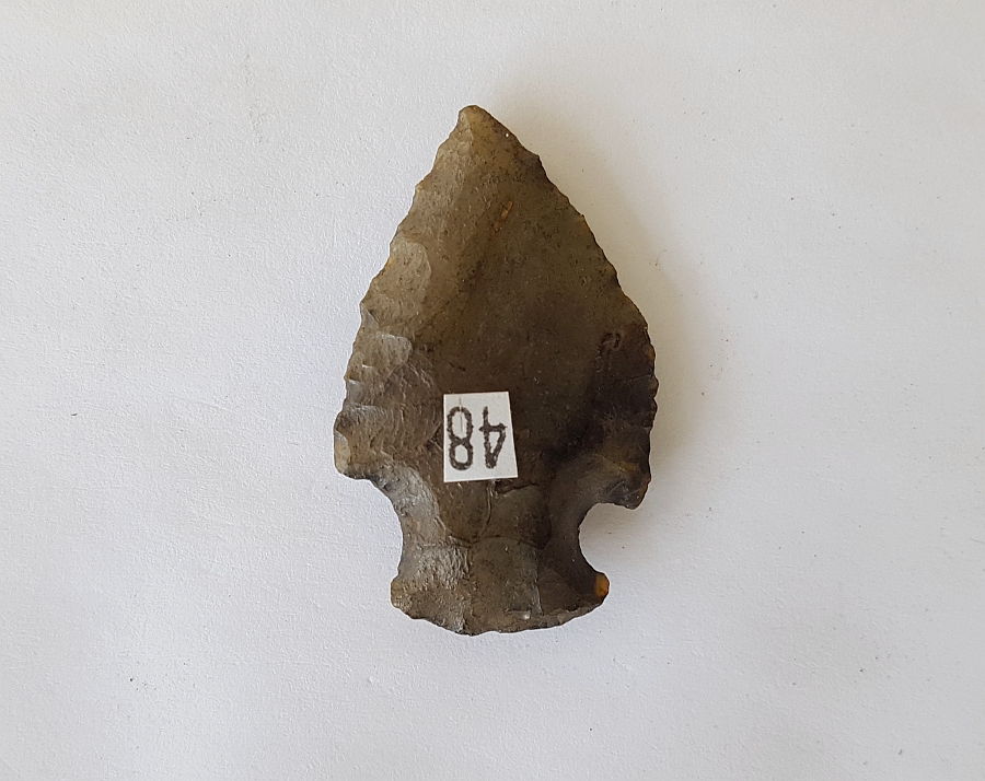 Fl. Bolen Plain type arrowhead | Fossils & Artifacts for Sale | Paleo Enterprises | Fossils & Artifacts for Sale