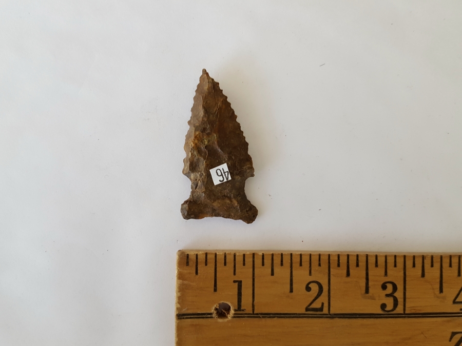Fl. Bolen Bevel type arrowhead | Fossils & Artifacts for Sale | Paleo Enterprises | Fossils & Artifacts for Sale