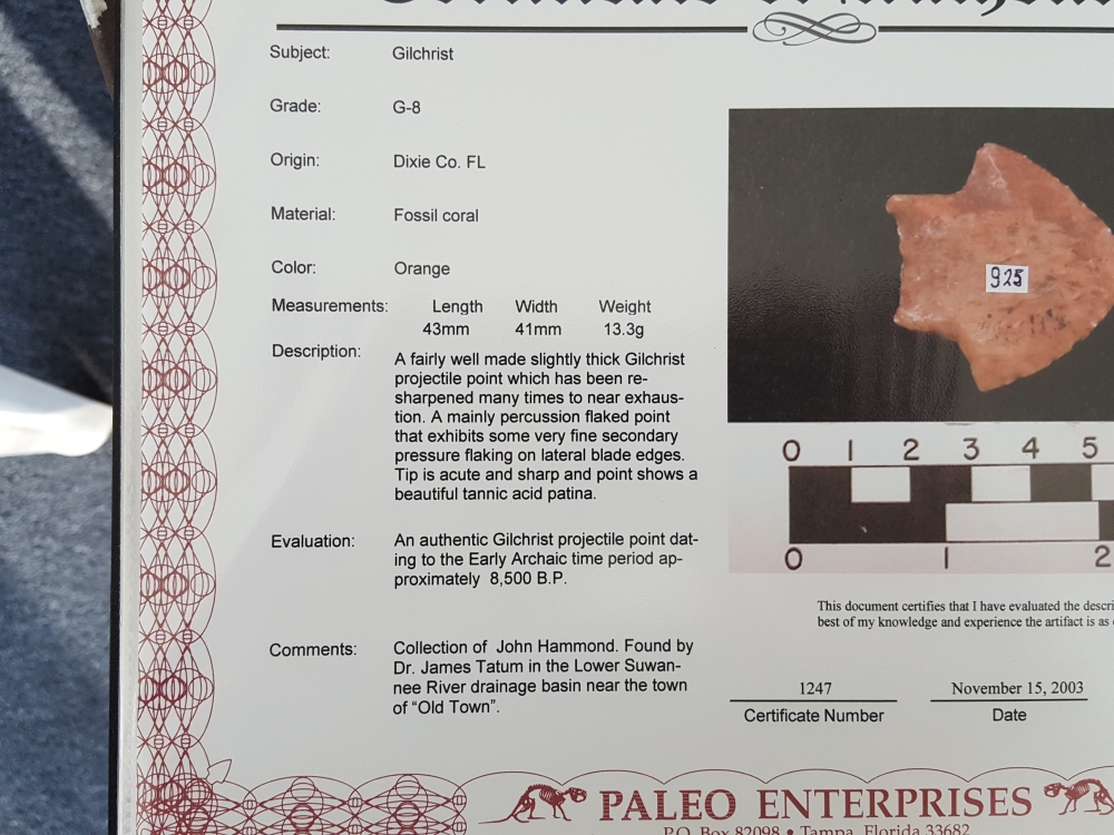 Fl. Gilchrist type arrowhead, ORANGE TRANSLUCENT CORAL W/COA! | Fossils & Artifacts for Sale | Paleo Enterprises | Fossils & Artifacts for Sale