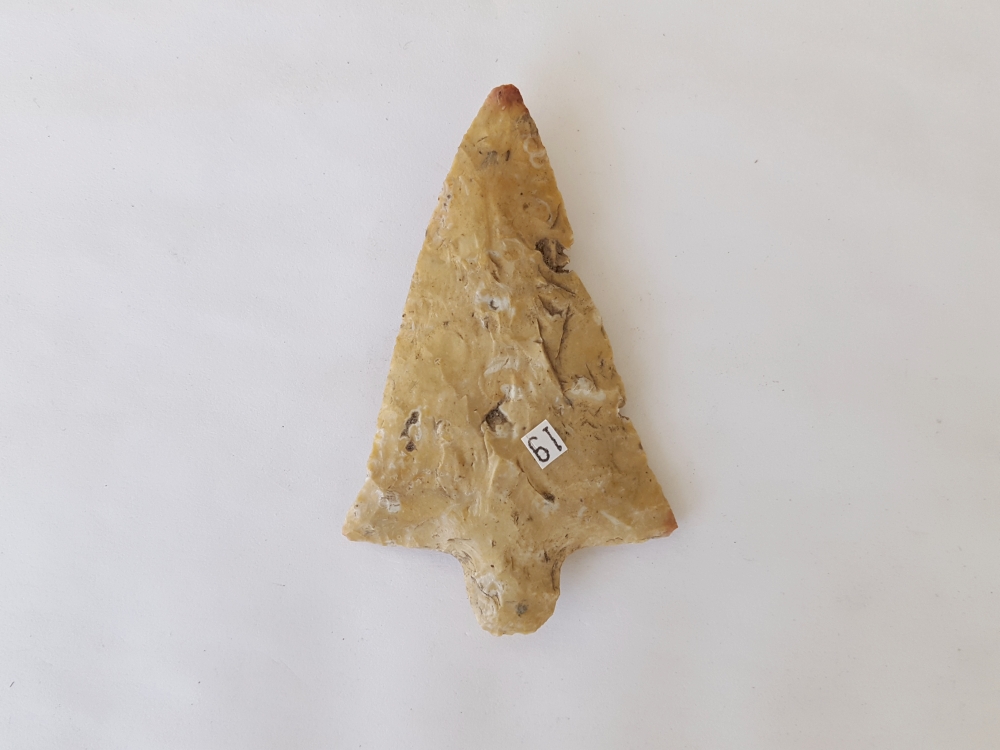 Fl Marion type arrowhead w/COA | Fossils & Artifacts for Sale | Paleo Enterprises | Fossils & Artifacts for Sale