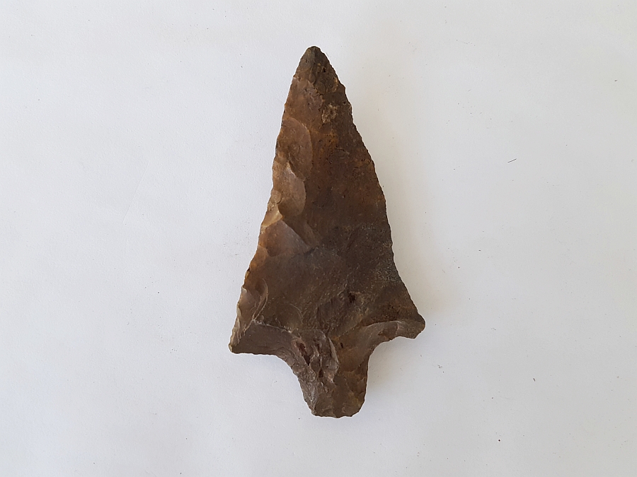 Fl. Newnan type arrowhead, AGATIZED CORAL! | Fossils & Artifacts for Sale | Paleo Enterprises | Fossils & Artifacts for Sale