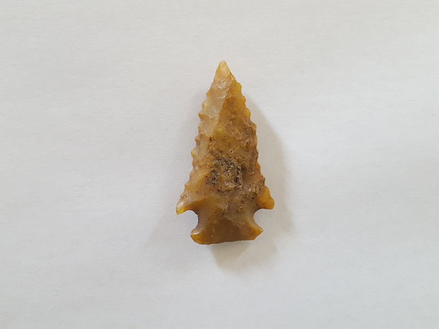 Fl. Bolen Bevel type Arrowhead. TRANSLUCENT CHERT! | Fossils & Artifacts for Sale | Paleo Enterprises | Fossils & Artifacts for Sale