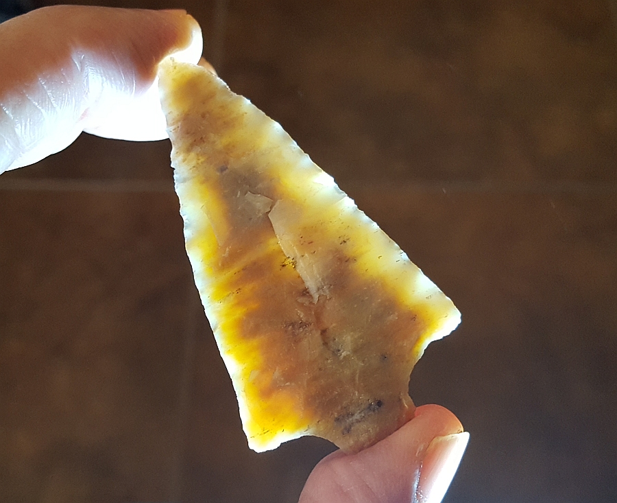 Fl. Levy type Arrowhead. TRANSLUCENT CORAL! | Fossils & Artifacts for Sale | Paleo Enterprises | Fossils & Artifacts for Sale