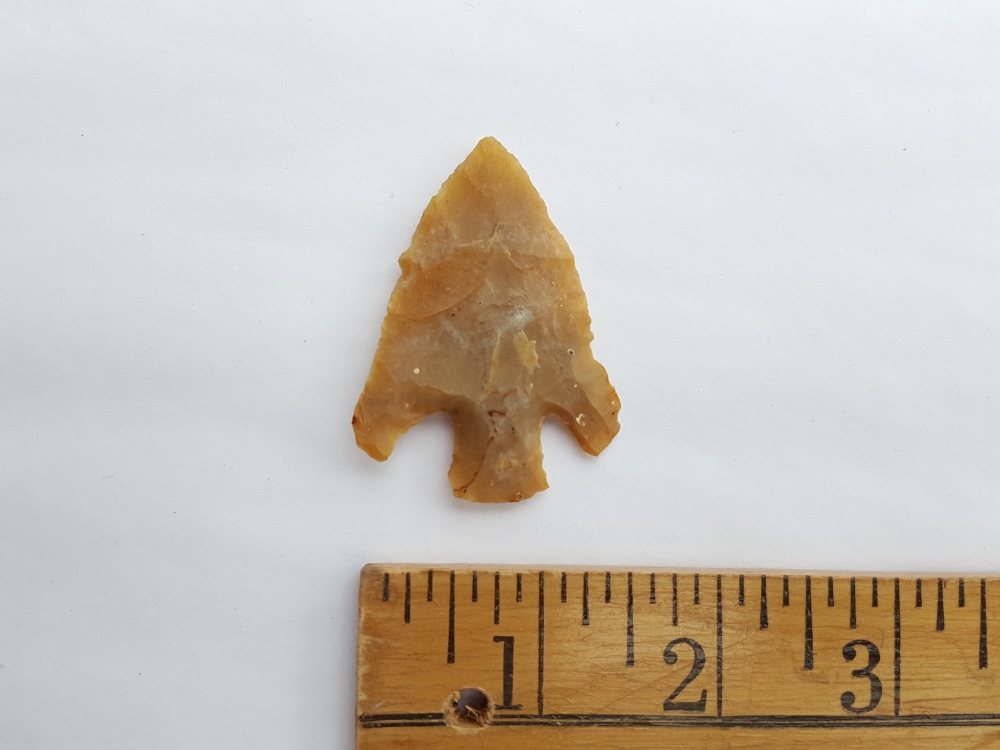 Fl. Clay type arrowhead, TRANSLUCENT FL. CHERT! | Fossils & Artifacts for Sale | Paleo Enterprises | Fossils & Artifacts for Sale