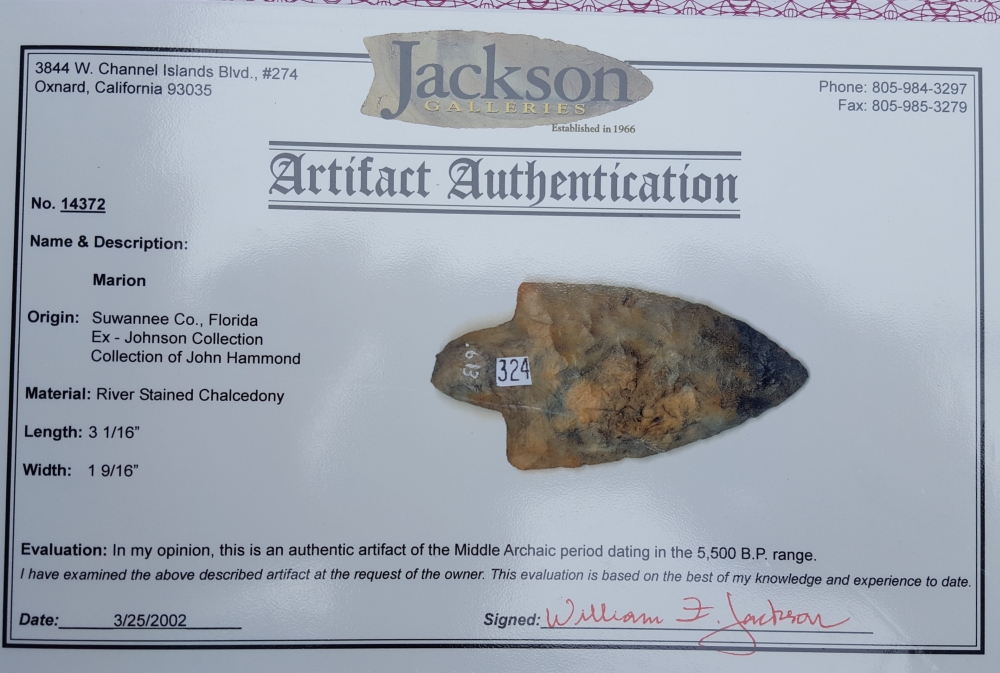 Fl. Marion type arrowhead, COLORFUL w/COA! | Fossils & Artifacts for Sale | Paleo Enterprises | Fossils & Artifacts for Sale