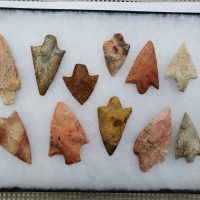 11 Florida points, Chert and coral w/COA! | Fossils & Artifacts for Sale | Paleo Enterprises | Fossils & Artifacts for Sale
