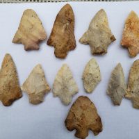 11 Florida points w/COA! | Fossils & Artifacts for Sale | Paleo Enterprises | Fossils & Artifacts for Sale