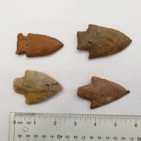 4 Florida points w/COA! | Fossils & Artifacts for Sale | Paleo Enterprises | Fossils & Artifacts for Sale