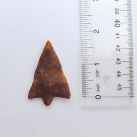 Fl. Hillsborough type arrowhead, TRANSLUCENT CORAL! Comes w/COA. | Fossils & Artifacts for Sale | Paleo Enterprises | Fossils & Artifacts for Sale