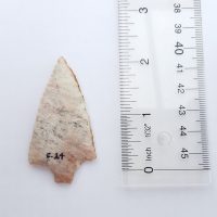 Fl. Newnan type arrowhead, agatized coral with COA! | Fossils & Artifacts for Sale | Paleo Enterprises | Fossils & Artifacts for Sale