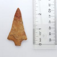 Fl. Hardee type arrowhead w/COA. COLORFUL chert! | Fossils & Artifacts for Sale | Paleo Enterprises | Fossils & Artifacts for Sale