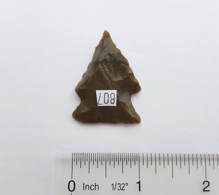 Fl. Bolen Bevel type arrowhead w/Davis COA! | Fossils & Artifacts for Sale | Paleo Enterprises | Fossils & Artifacts for Sale