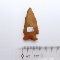 Fl. Bolen Bevel type arrowhead w/Davis COA! | Fossils & Artifacts for Sale | Paleo Enterprises | Fossils & Artifacts for Sale