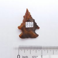 Fl. Bolen Bevel type arrowhead, G9 with COA! | Fossils & Artifacts for Sale | Paleo Enterprises | Fossils & Artifacts for Sale
