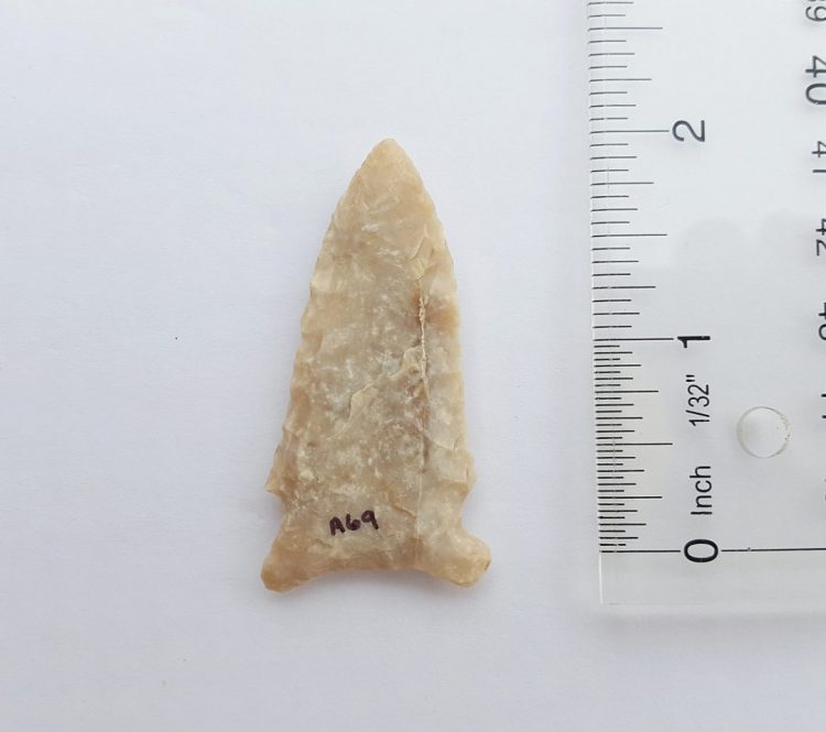 Fl. Osceola-Greenbriar type arrowhead w/COA. | Fossils & Artifacts for Sale | Paleo Enterprises | Fossils & Artifacts for Sale