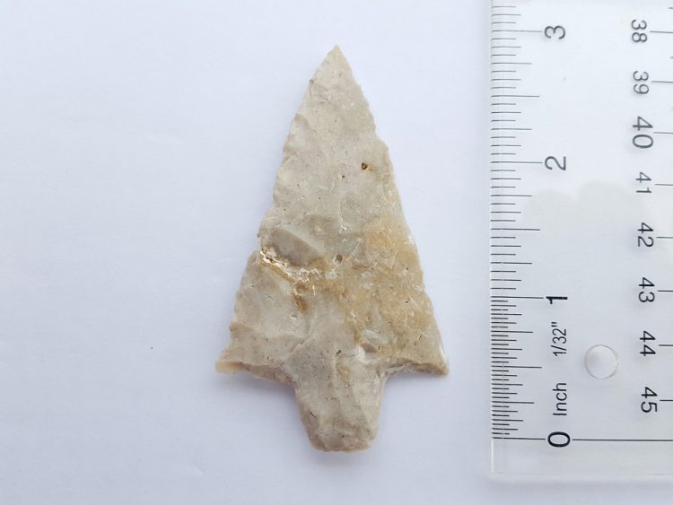 Fl. Newnan type arrowhead, EXCELLENT shape! | Fossils & Artifacts for Sale | Paleo Enterprises | Fossils & Artifacts for Sale