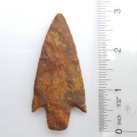 Fl. Newnan type arrowhead w/COA. | Fossils & Artifacts for Sale | Paleo Enterprises | Fossils & Artifacts for Sale