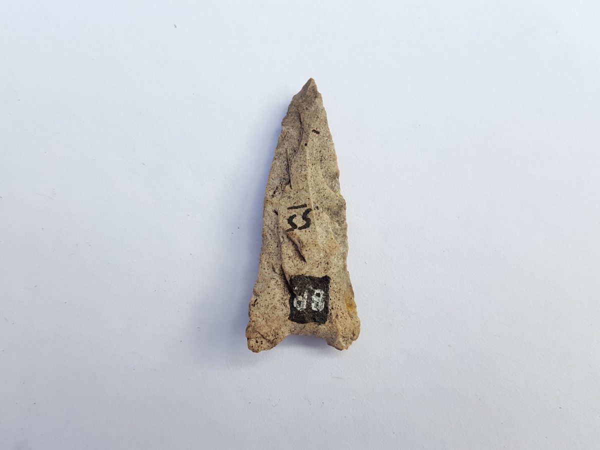 Fl. Atlatl dart w/COA. | Fossils & Artifacts for Sale | Paleo Enterprises | Fossils & Artifacts for Sale