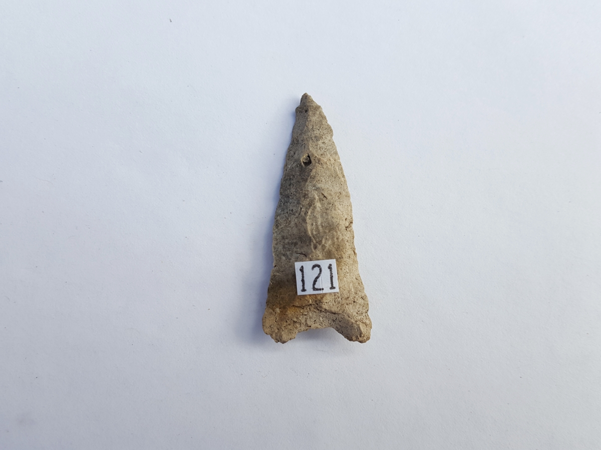 Fl. Atlatl dart w/COA. | Fossils & Artifacts for Sale | Paleo Enterprises | Fossils & Artifacts for Sale