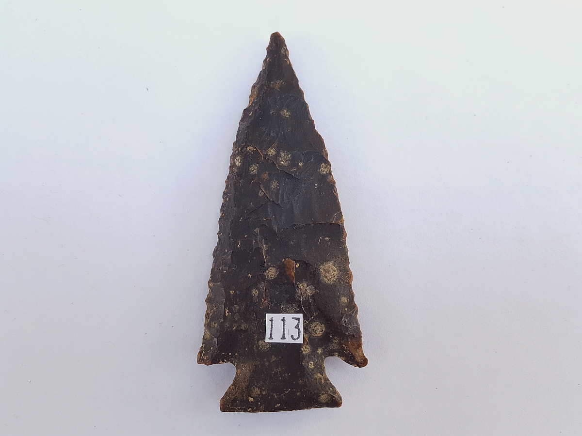 Fl. Bolen Bevel type arrowhead, FANTASTIC G10 w/COA! | Fossils & Artifacts for Sale | Paleo Enterprises | Fossils & Artifacts for Sale