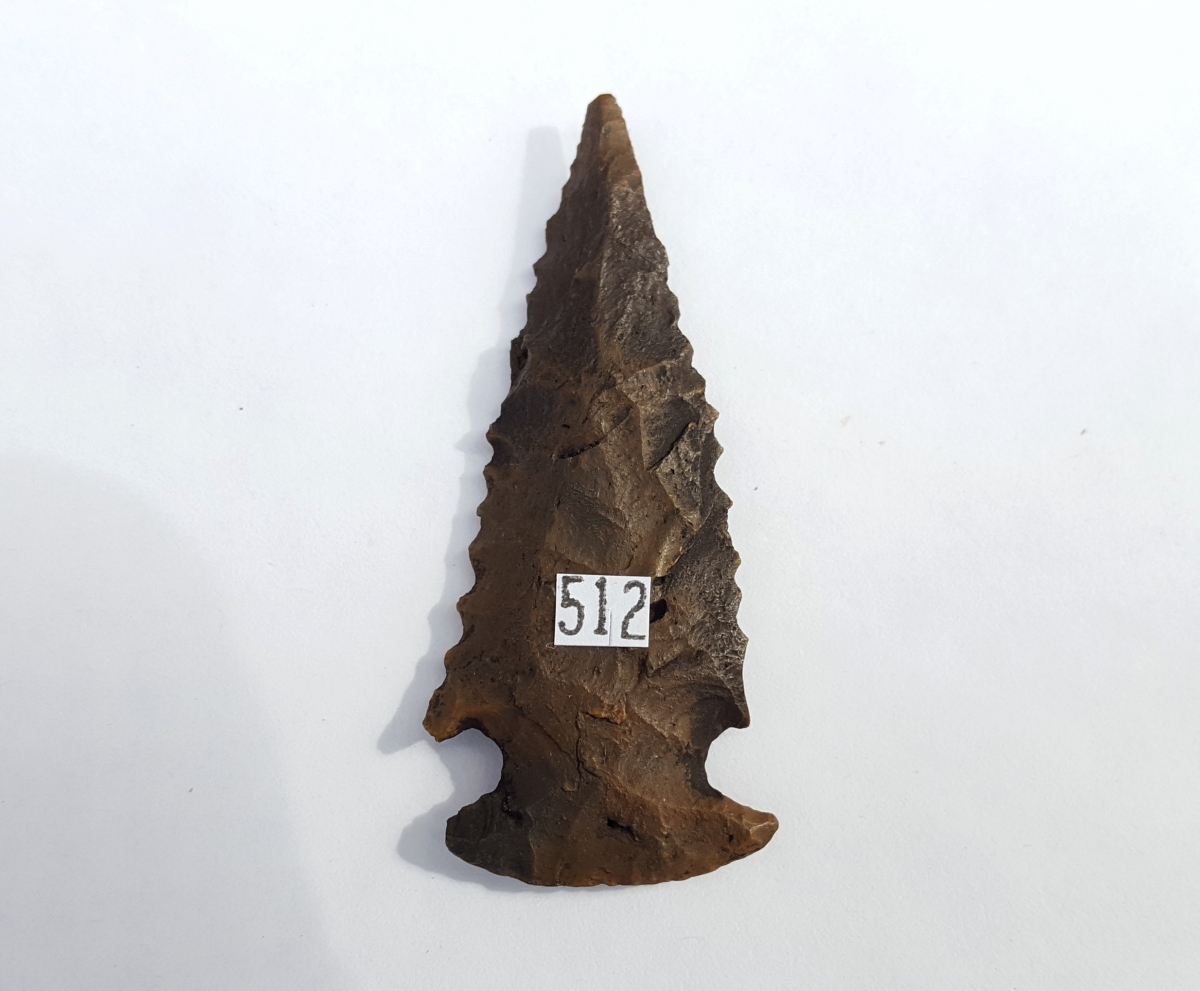Fl. Bolen Bevel type arrowhead, G8 w/COA. | Fossils & Artifacts for Sale | Paleo Enterprises | Fossils & Artifacts for Sale