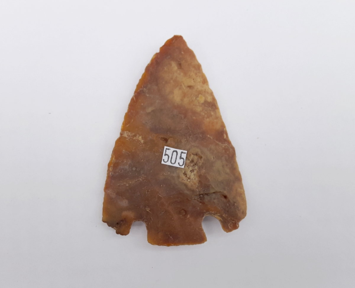 Fl. Citrus type arrowhead w/COA! | Fossils & Artifacts for Sale | Paleo Enterprises | Fossils & Artifacts for Sale