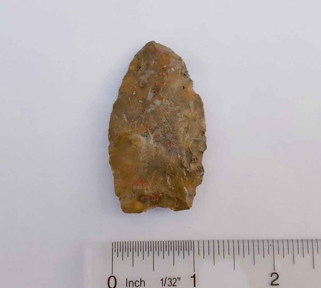 Fl. Clovis type arrowhead w/COA. Fossils & Artifacts for Sale Paleo